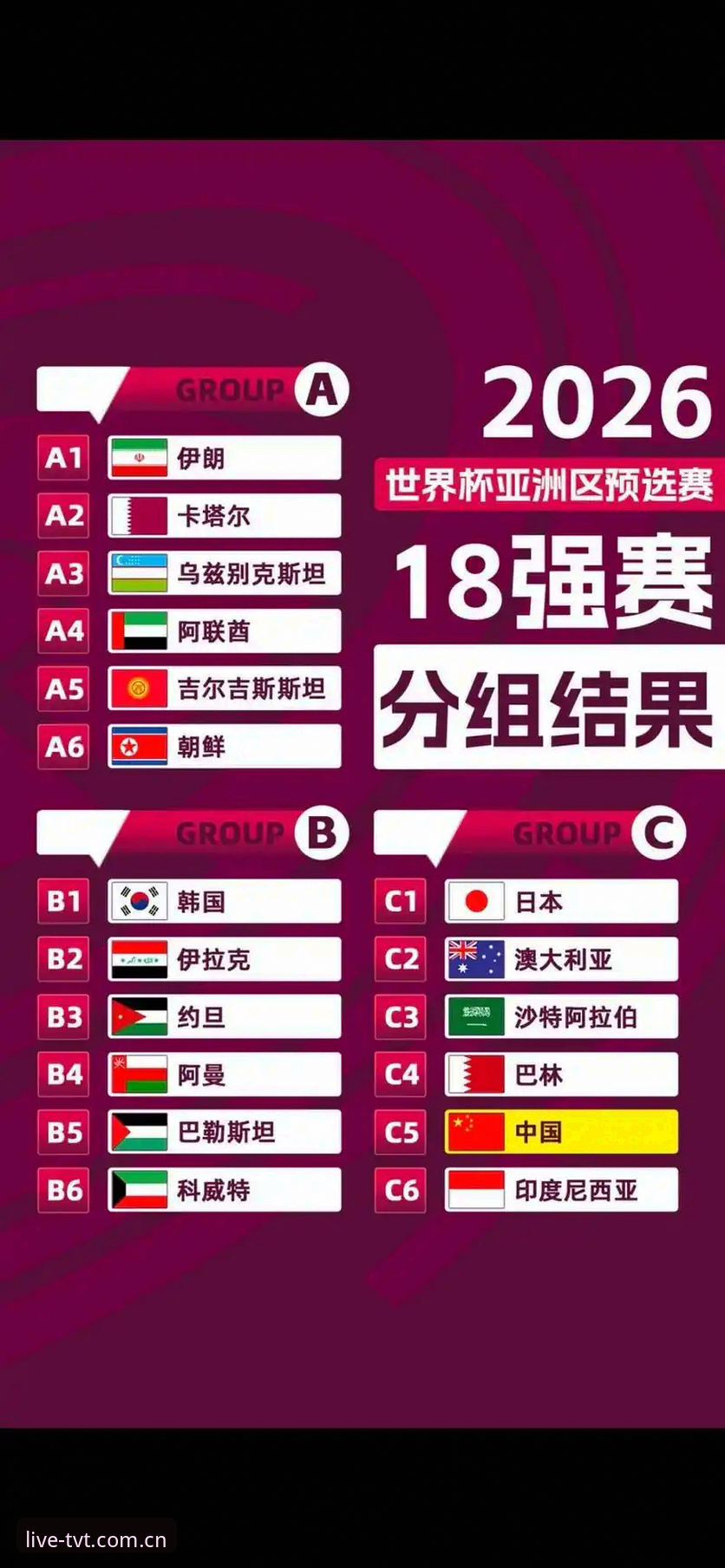 世界杯球迷签证受阻：如何在TVT体育平台追踪赛事动态完整指南