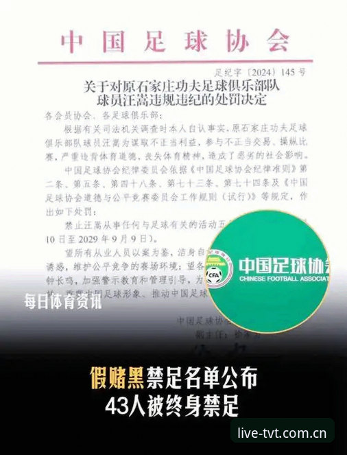 中国足协第三批禁足名单解读指南：从平台视角看懂足球反腐风暴中的操作逻辑